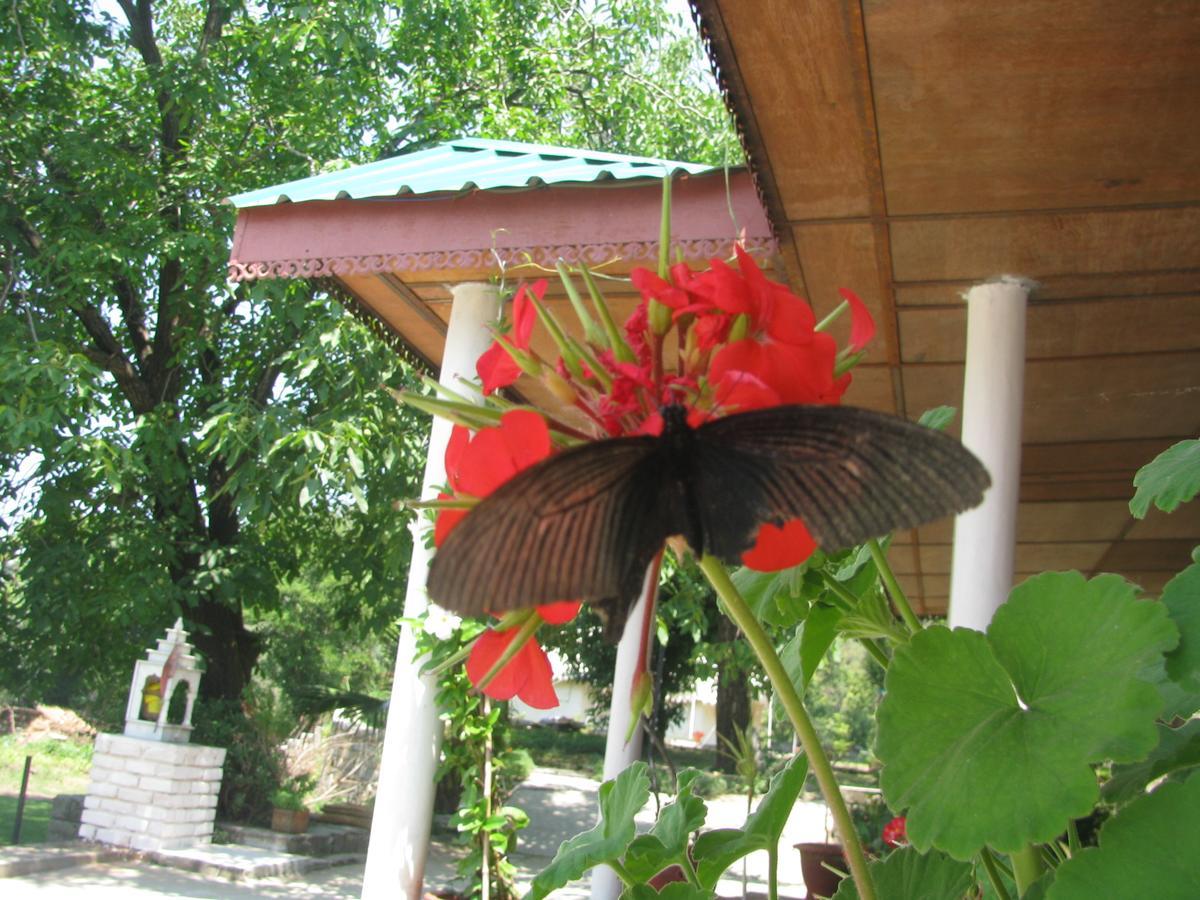 Tatva Bir Tents And Hotel Kangar Exterior foto