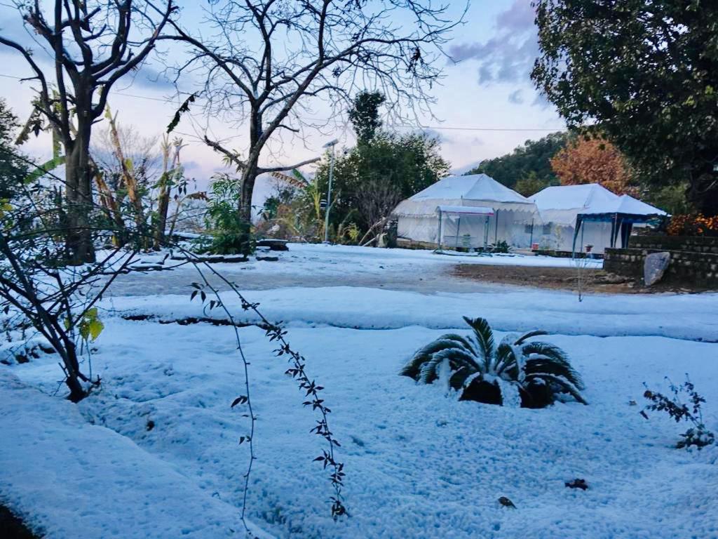 Tatva Bir Tents And Hotel Kangar Exterior foto